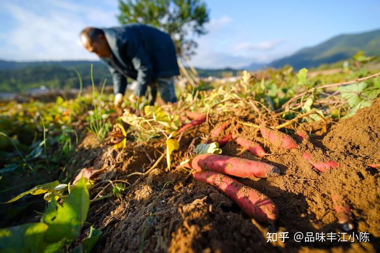 丰江装饰有限公司装饰团队 丰江实业有限公司