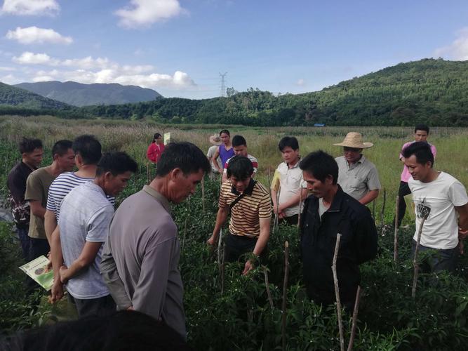 福雄装饰有限公司装饰团队 河北福雄汽车销售服务有限公司